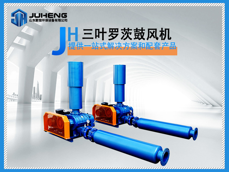三葉羅茨鼓風(fēng)機(jī)