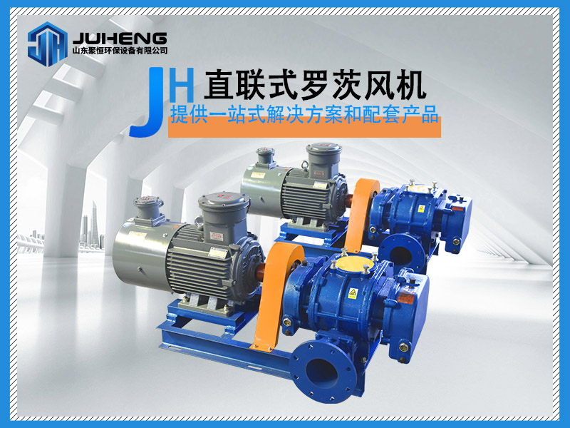 直聯(lián)羅茨風(fēng)機(jī)